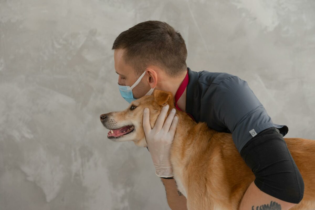 A caring veterinarian embraces a happy dog during a routine checkup. Captures empathy and professionalism.